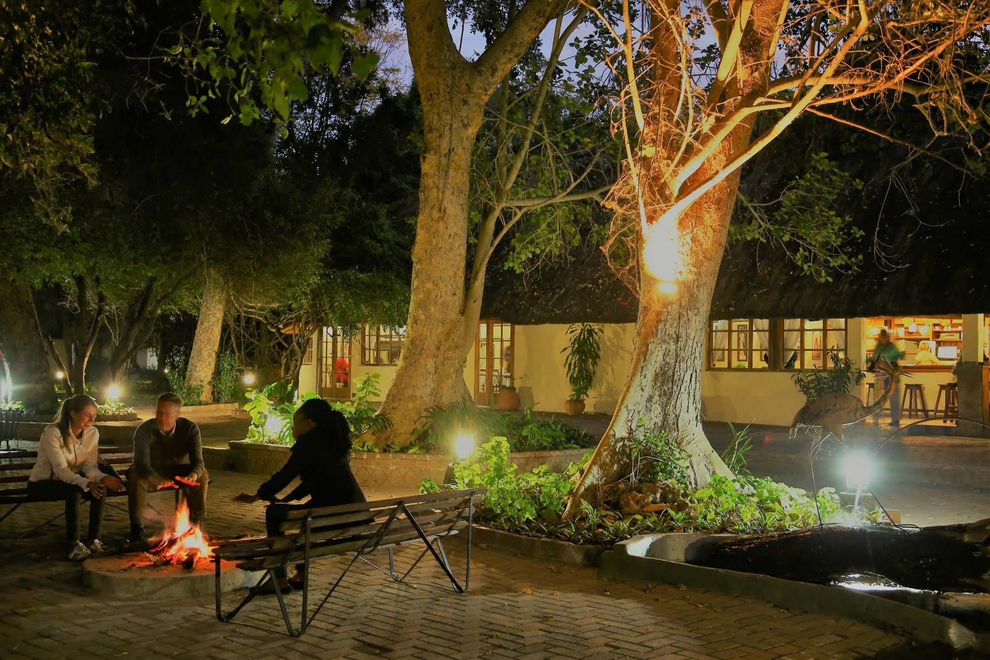 Island Safari Lodge Maun Eksteriør bilde